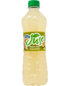 BW Juse 24x500ml Ginger Beer